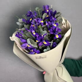 Миниатюра 5