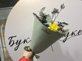 Миниатюра 1