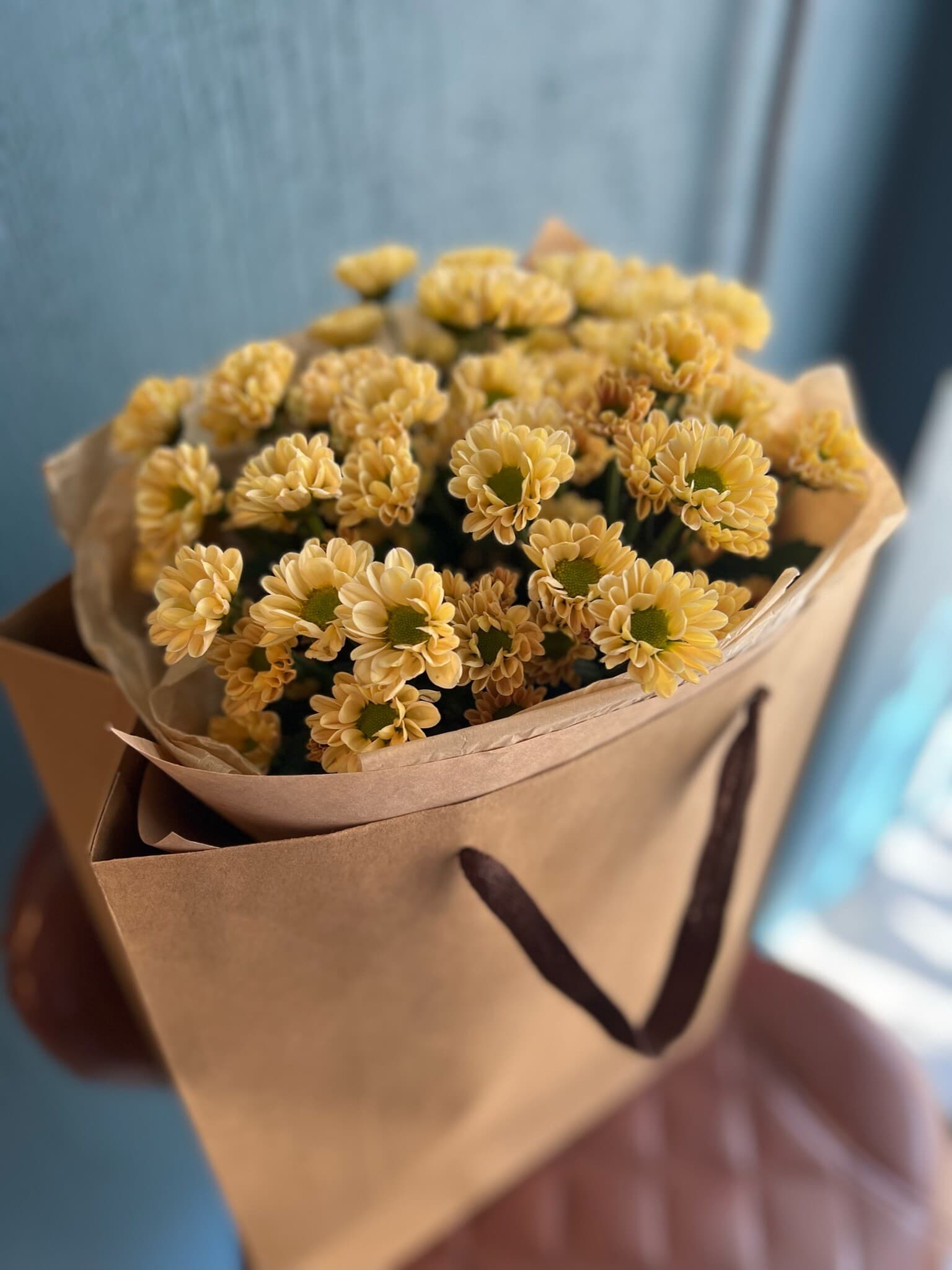 «Хлоя» ПИК, изображение 3