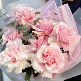 Миниатюра 6