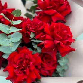 Миниатюра 5