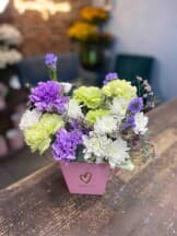 Миниатюра 1