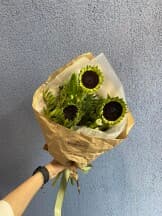 Миниатюра 1