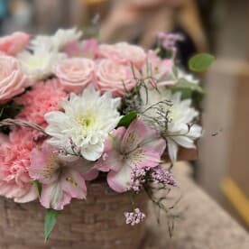 Миниатюра 3