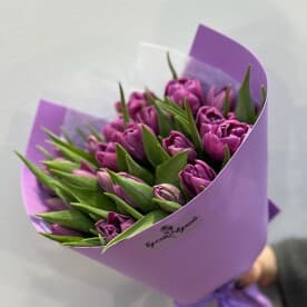 Миниатюра 3