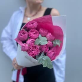 Миниатюра 5