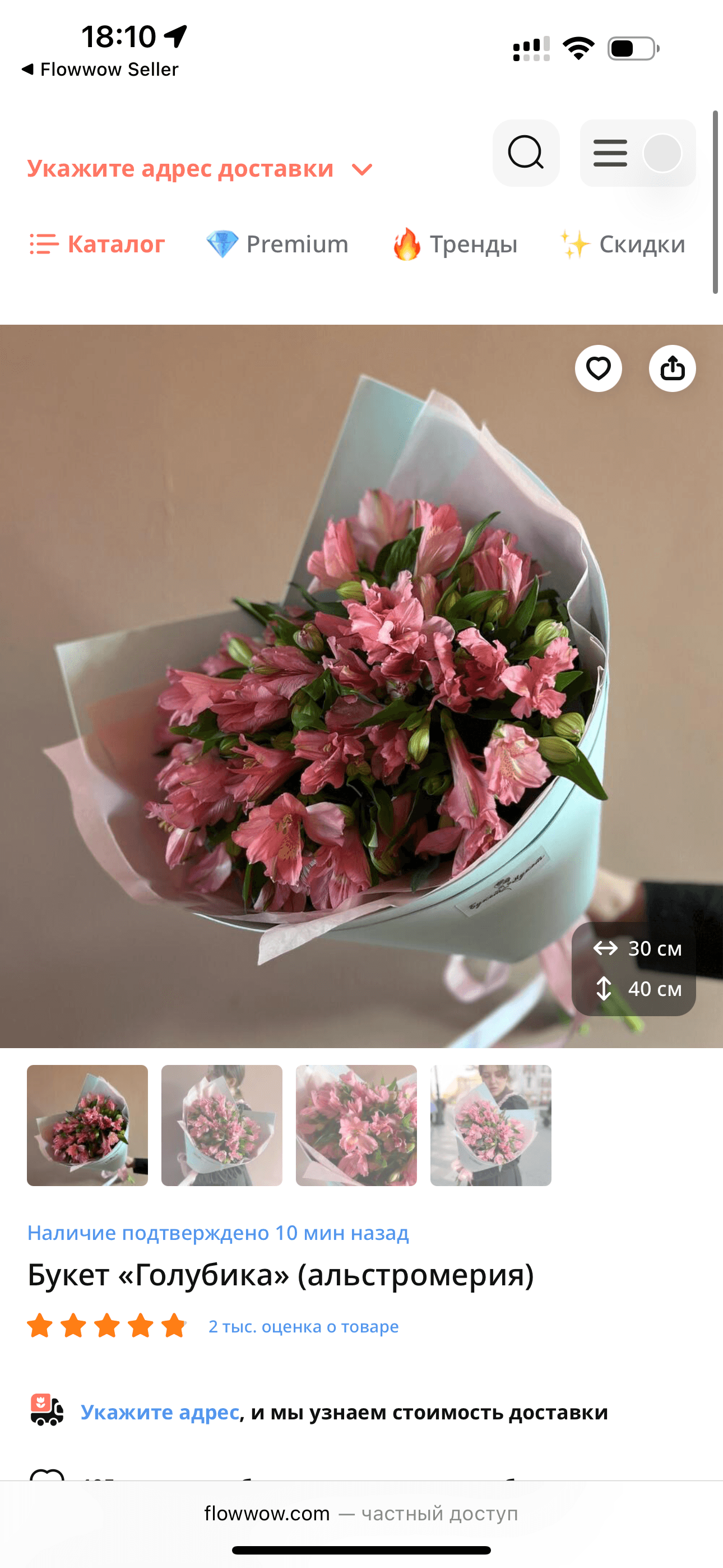 Голубика SENO