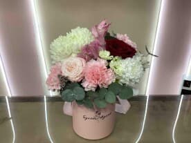 Миниатюра 1