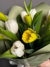 Миниатюра 5