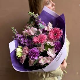 Миниатюра 1