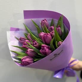 Миниатюра 4