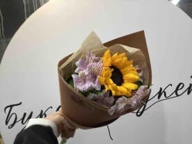 Миниатюра 1