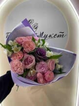 Миниатюра 1