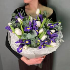 Миниатюра 1