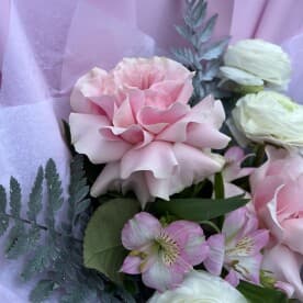 Миниатюра 6