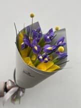 Миниатюра 2