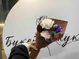 Миниатюра 1