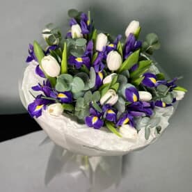 Миниатюра 2