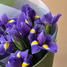 Миниатюра 2