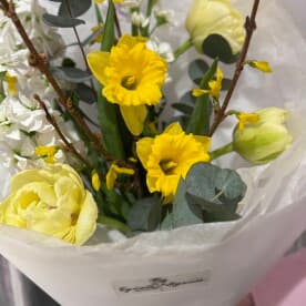 Миниатюра 5