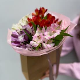 Миниатюра 5