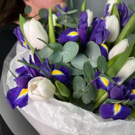 Миниатюра 5