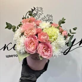 Миниатюра 1