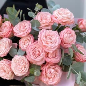 Миниатюра 3