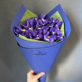 Миниатюра 2