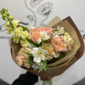 Миниатюра 1