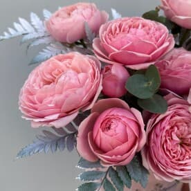 Миниатюра 6