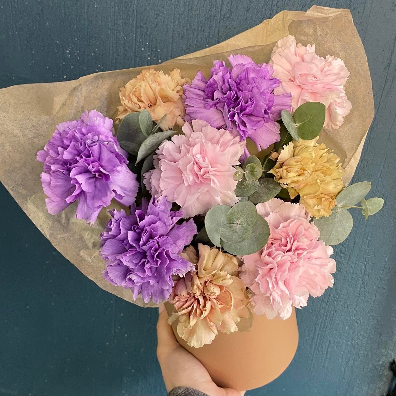 Диантусы SENO