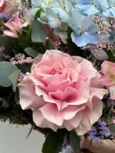 Миниатюра 4