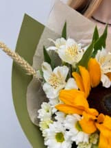 Миниатюра 5