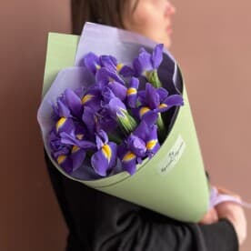 Миниатюра 1