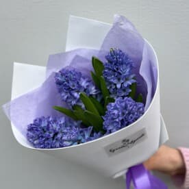 Миниатюра 3