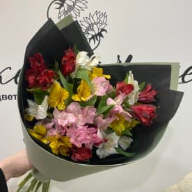 Миниатюра 1