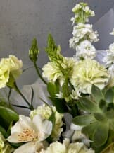 Миниатюра 8