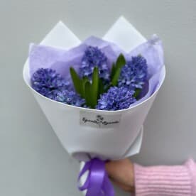 Миниатюра 2