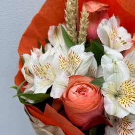 Миниатюра 5