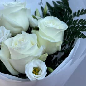 Миниатюра 5