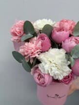 Миниатюра 4