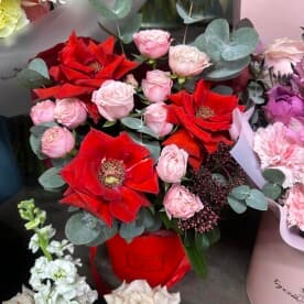 Миниатюра 1