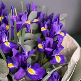 Миниатюра 3