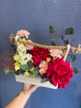 Миниатюра 1