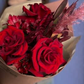 Миниатюра 5