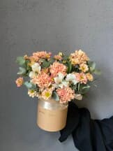 Миниатюра 1