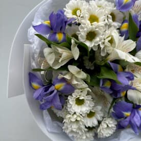 Миниатюра 2