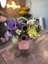 Миниатюра 1