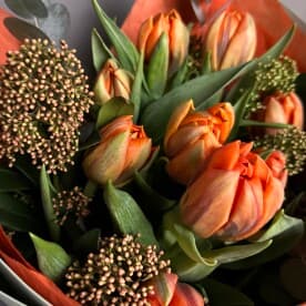 Миниатюра 3